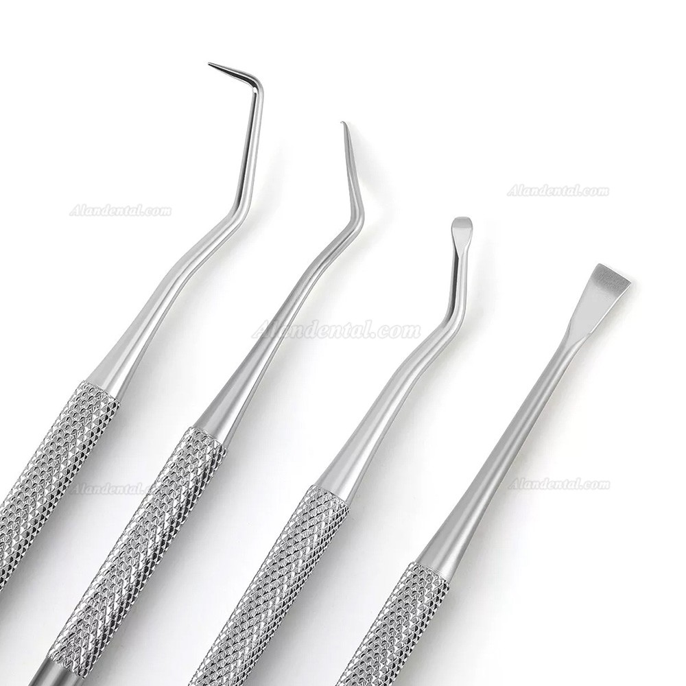 6pcs Dentist Tools Kit Dental Cleaning Tool Set for Teeth Cleaning and Whitening